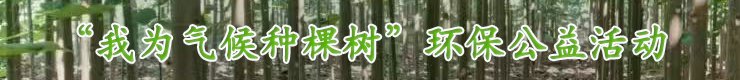 我为气候种棵树