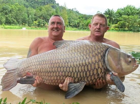 男子仅用面包片钓上68公斤巨型鲤鱼合照后放生